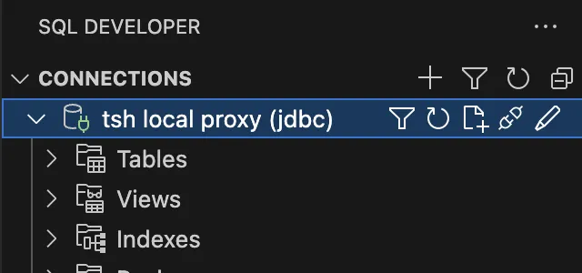 SQL Developer (VS Code) 연결됨 (JDBC)