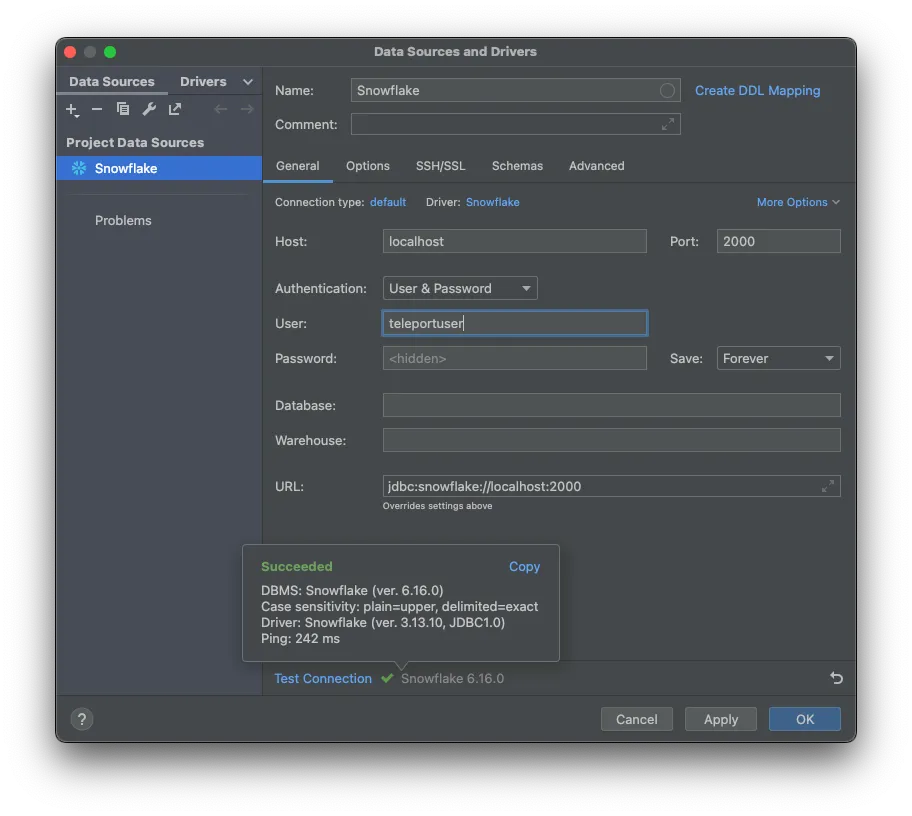 JetBrains 성공